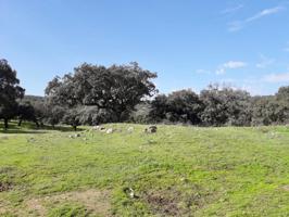 Finca de Dehesa en el Corazón de Fuente Obejuna: Un Remanso de Tranquilidad photo 0