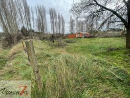 Finca rustica en venta en Roales photo 0