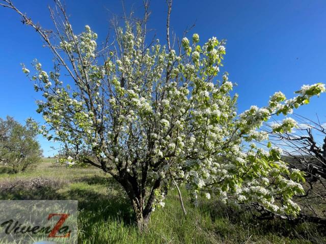 Finca rustica en venta en Morales del Vino photo 0