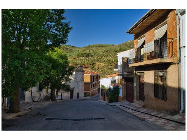 CASA DE PUEBLO LA PUERTA DE SEGURA photo 0