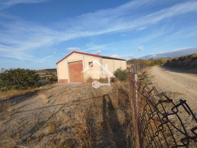 Venta de finca con nave en Viana photo 0