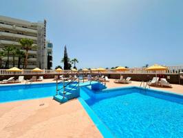 Las Américas, Olympia photo 0