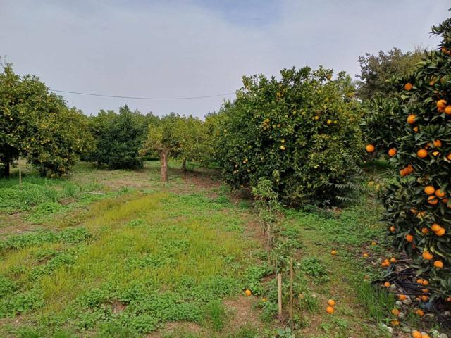 Terreno en venta en Coín photo 0