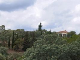 Otro En venta en Castilblanco de los Arroyos photo 0