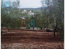 Terreno Urbanizable En venta en La Bisbal Del Penedès photo 0
