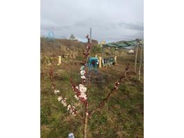 Terreno Urbanizable En venta en Cabra Del Camp photo 0