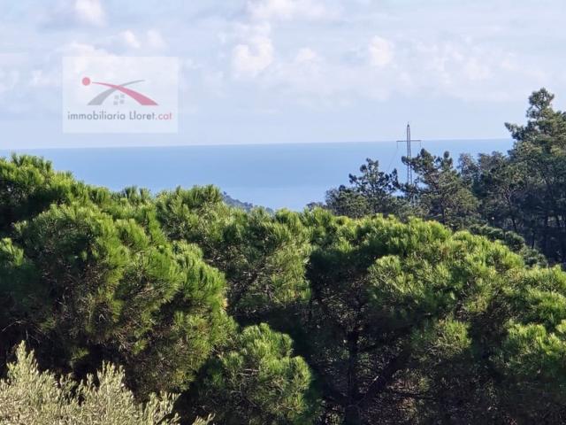 Otro En venta en Lloret De Mar photo 0