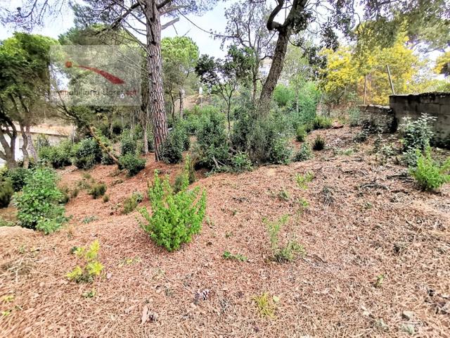 Otro En venta en Lloret De Mar photo 0