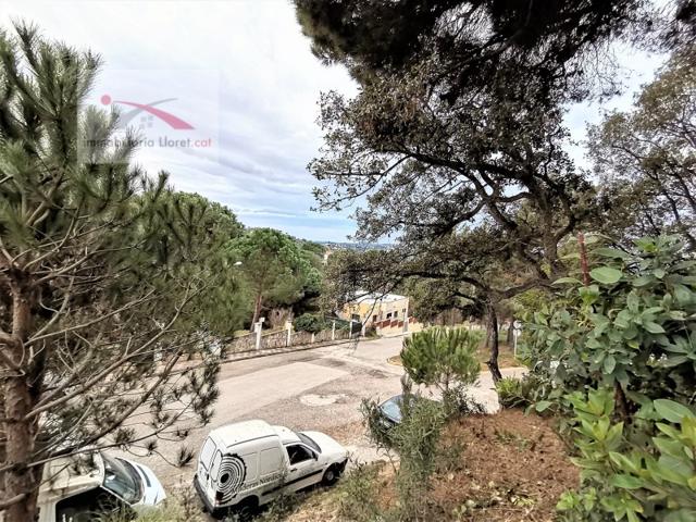 Otro En venta en Lloret De Mar photo 0