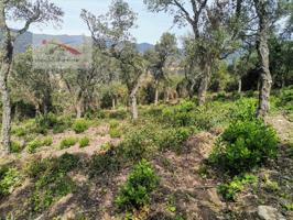 Otro En venta en Lloret De Mar photo 0