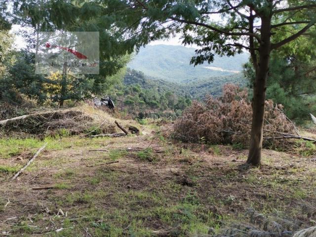 Otro En venta en Lloret De Mar photo 0