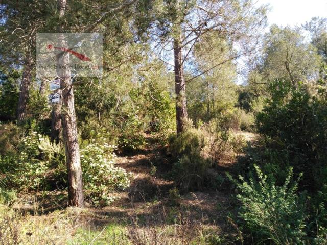 Otro En venta en Lloret De Mar photo 0