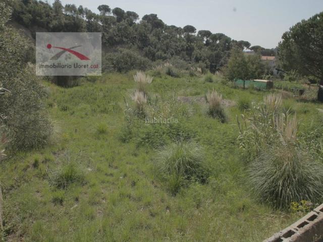 Otro En venta en Los Pinares, Lloret De Mar photo 0