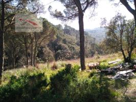 Otro En venta en Santa Cristina D'Aro photo 0