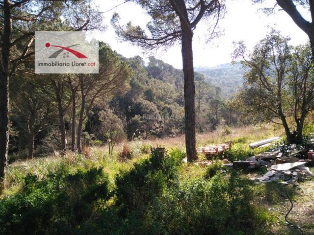 Otro En venta en Santa Cristina D'Aro photo 0
