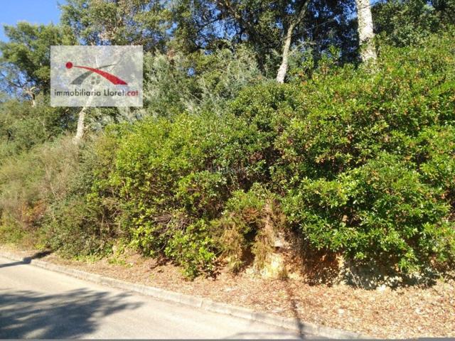 Otro En venta en Santa Cristina D'Aro photo 0