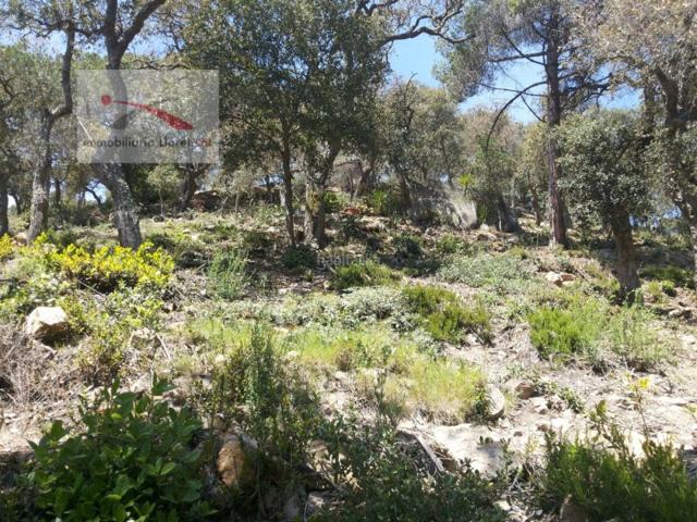 Otro En venta en Lloret De Mar photo 0