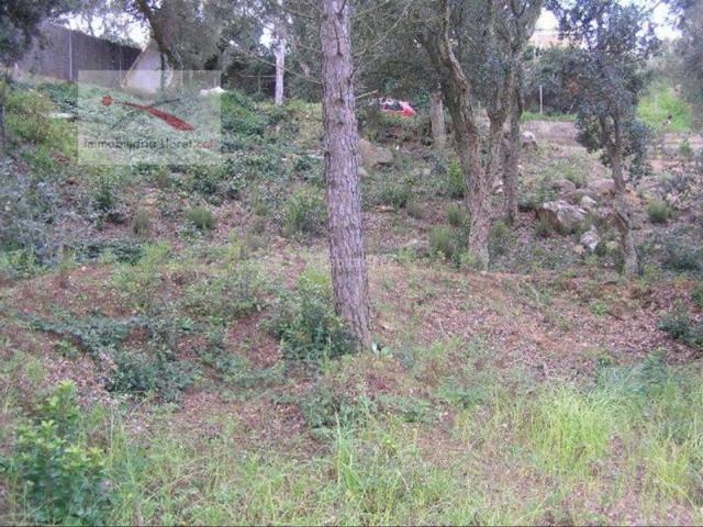 Otro En venta en Lloret De Mar photo 0