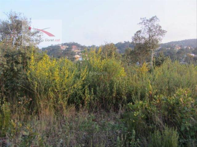 Otro En venta en Maçanet De La Selva photo 0