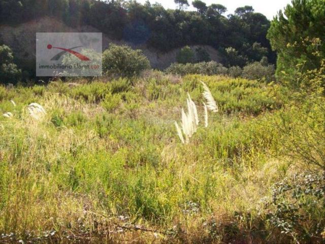 Otro En venta en Lloret De Mar photo 0