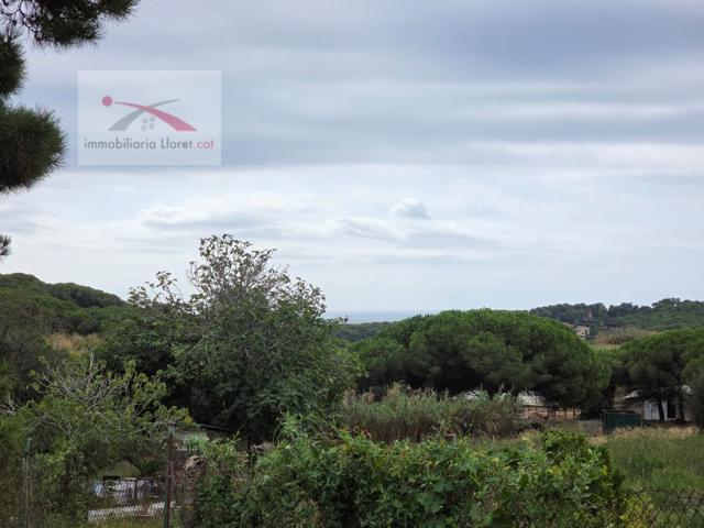 Otro En venta en Lloret De Mar photo 0