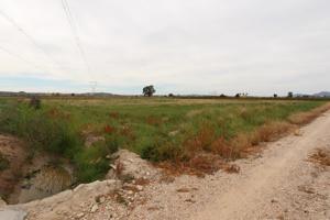 Terreno Urbanizable En venta en San Fulgencio, San Fulgencio photo 0