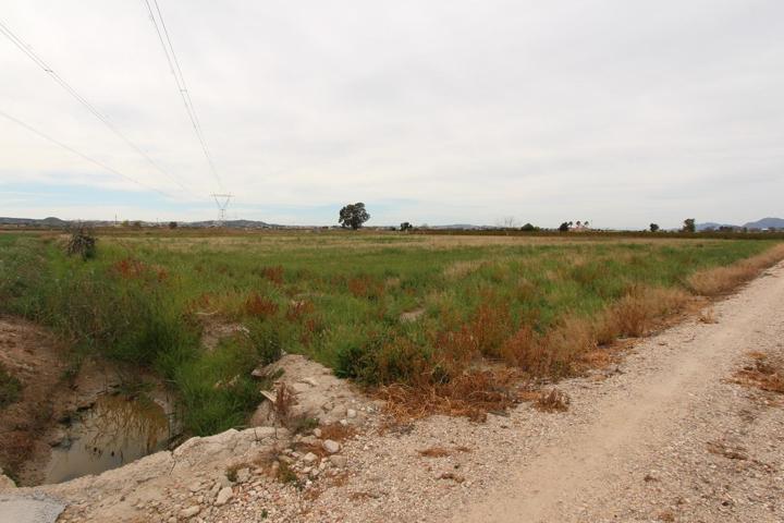 Terreno Urbanizable En venta en San Fulgencio, San Fulgencio photo 0