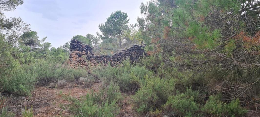 Terreno Urbanizable En venta en Sierra Del Calar De Río Mundo, Molinicos photo 0