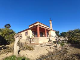 Casa de campo con huerta en Algorfa, a pocos kilómetros de las playas de Guardamar photo 0