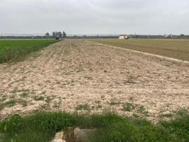 Terreno Urbanizable En venta en Guardamar Del Segura, Guardamar Del Segura photo 0
