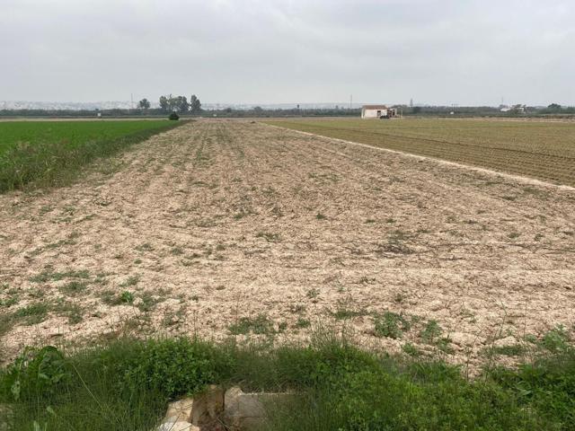 Terreno Urbanizable En venta en Guardamar Del Segura, Guardamar Del Segura photo 0