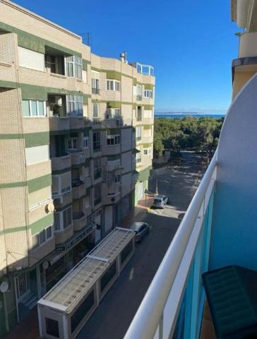 Fantástico ático dúplex junto a la pinada de Guardamar del Segura, Alicante, Costa Blanca photo 0