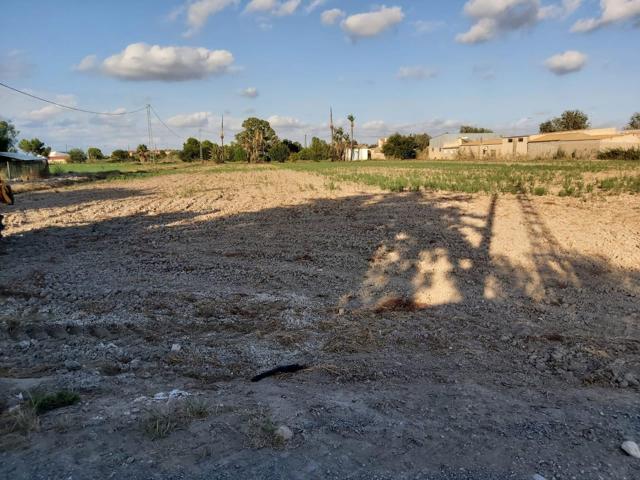 FANTASTICO TERRENO EN CREVILLENTE, ALICANTE, COSTA BLANCA SUR photo 0