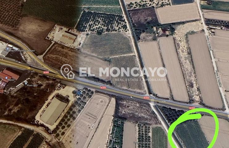 Parcela agrícola en la huerta de Guardamar del Segura, Alicante, Costa Blanca Sur photo 0