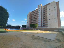 Fantástico apartamento en Guardamar del Segura, Alicante, Costa Blanca photo 0