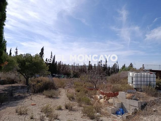 Fantástica finca rústica junto a la localidad de San Miguel de Salinas, Alicante, Costa Blanca photo 0
