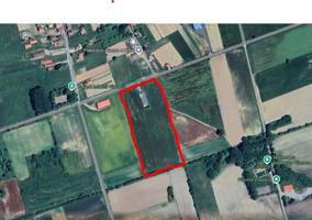 Se vende nave con finca de 28.000 metros cuadrados photo 0
