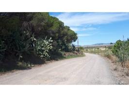 Terreno en venta en Vinyols i els Arcs(43850) photo 0