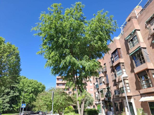 Piso en venta en Casco Histórico de Vallecas(28031) photo 0