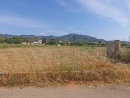 Venta de terreno en Alcanar uso agrícola photo 0