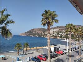 SE ALQUILA APARTAMENTO FRENTE AL MAR EN LA HERRADURA photo 0