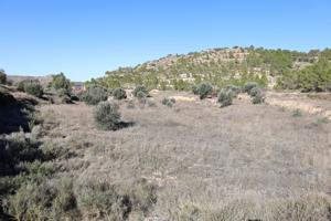 Se vende Terreno próximo a la Carretera de Castelserás - Alcañiz (Teruel) - Ref. TR02042023 photo 0