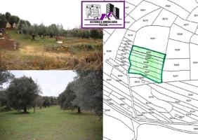 SE VENDEN Parcelas de regadío en Paraje Val de Hueso - Alcañiz (Teruel). Ref.TR01122023 photo 0