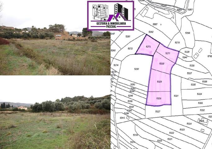 TERRENO EN VENTA EN ALCAÑIZ. Ref.TR01132023 photo 0