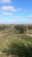 Suelo rústico en Venta en Sant Marti De Riucorb Lleida photo 0