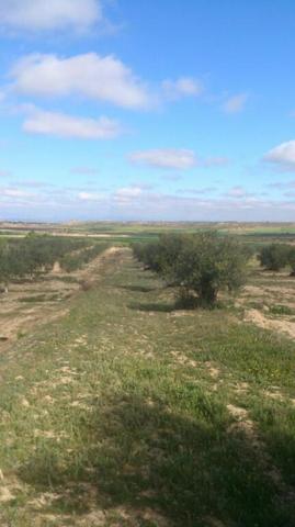 Suelo rústico en Venta en Sant Marti De Riucorb Lleida photo 0