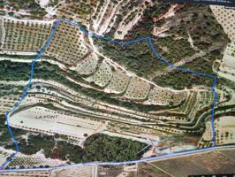 Suelo rústico en Venta en Vilalba Dels Arcs Tarragona photo 0