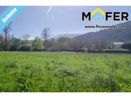 Terreno con muchas posibilidades photo 0