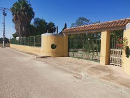 ¡Finca Versátil en Callosa del Segura con Nave Industrial y Casa Espaciosa en 4000 metros! photo 0