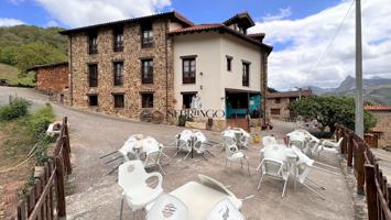 ¡POSADA RURAL EN FUNCIONAMIENTO EN LIÉBANA! ¡RENTABILIDAD GARANTIZADA! (Ver vídeo) photo 0